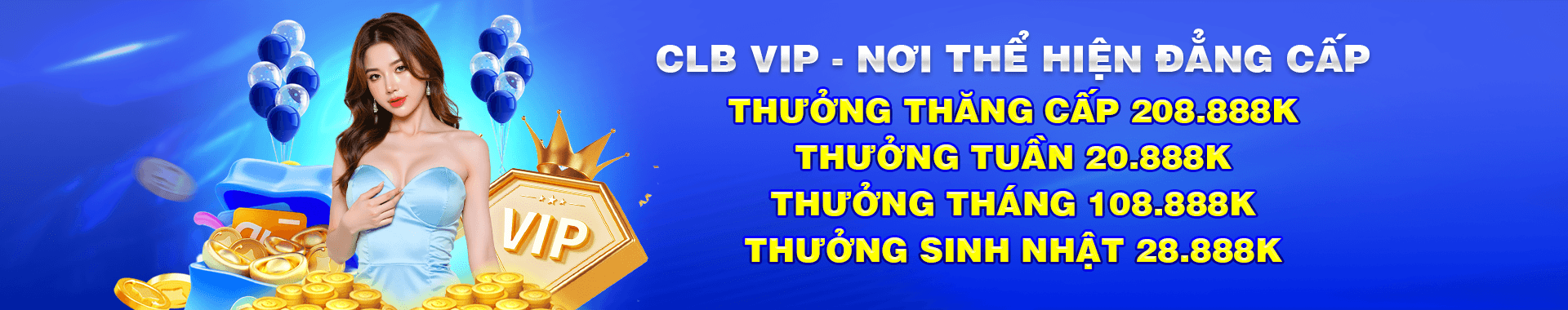DN 88 banner